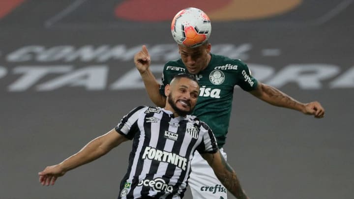 FBL-LIBERTADORES-PALMEIRAS-SANTOS FBL-LIBERTADORES-PALMEIRAS-SANTOS