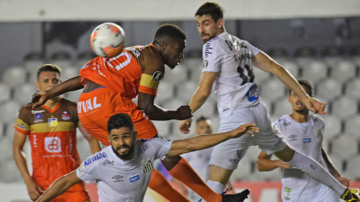 FBL-LIBERTADORES-SANTOS-DELFIN