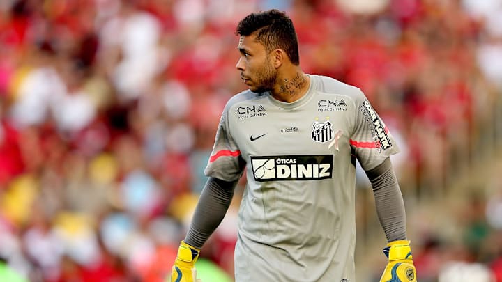 Flamengo v Santos - Brasileirao Series A 2014