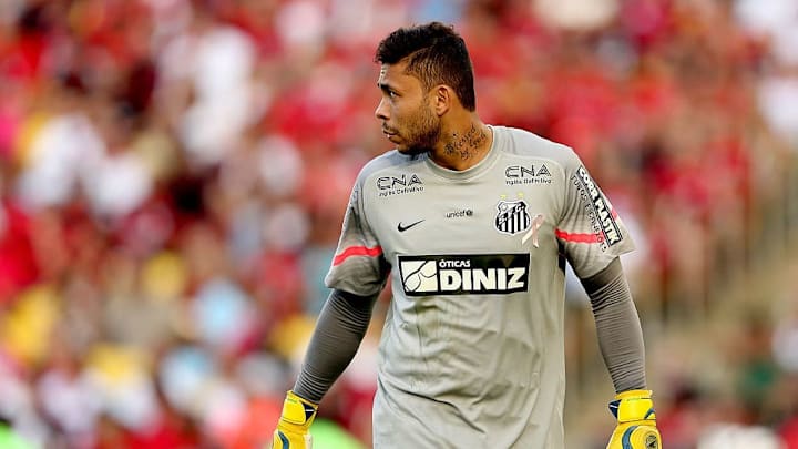 Flamengo v Santos - Brasileirao Series A 2014