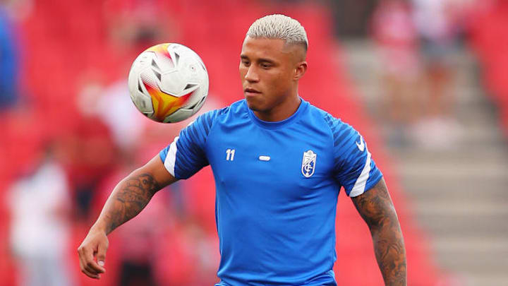 Darwin Machis