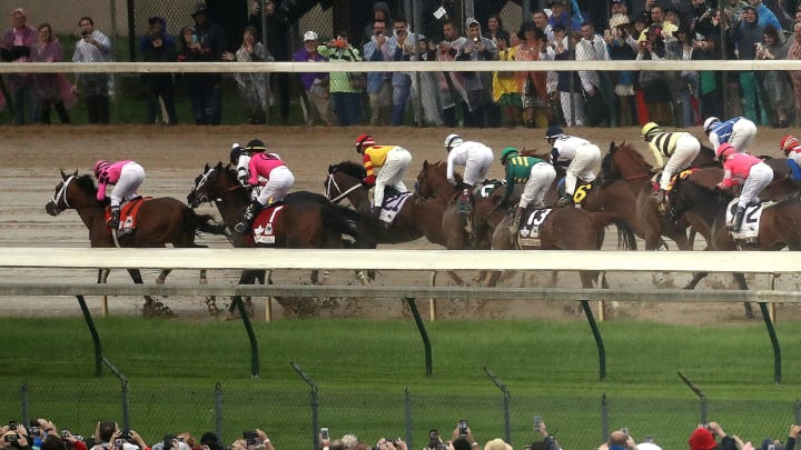 How horse racing betting odds work. How horse racing betting odds work.