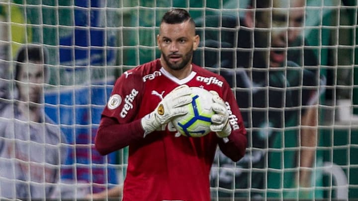 O Palmeiras segue crescendo na temporada e no Brasileirão. 
