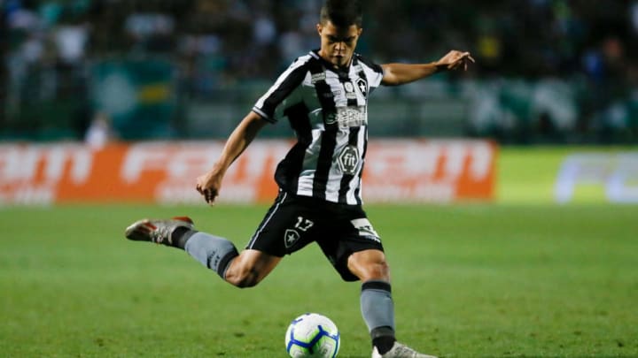 Palmeiras v Botafogo- Brasileirao Series A 2019