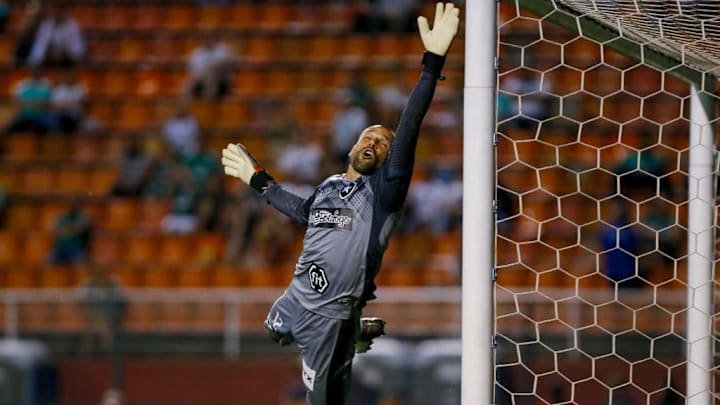 Palmeiras v Botafogo- Brasileirao Series A 2019
