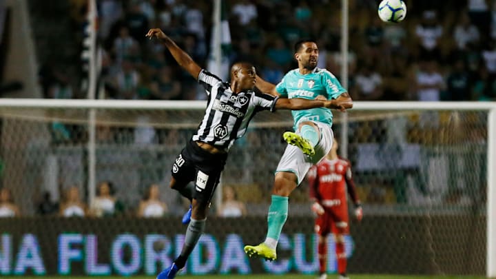 Palmeiras v Botafogo- Brasileirao Series A 2019 Palmeiras v Botafogo- Brasileirao Series A 2019