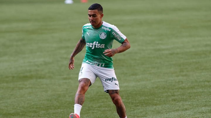 Dudu Palmeiras Pedrão Matheus Fernandes Libertadores