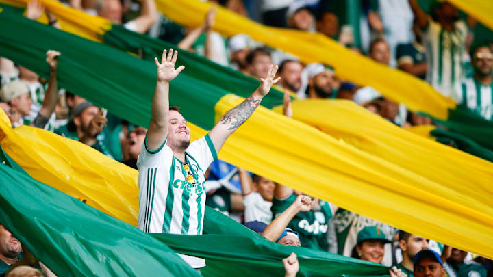 Palmeiras v Vitoria - Brasileirao Series A 2018 Palmeiras v Vitoria - Brasileirao Series A 2018