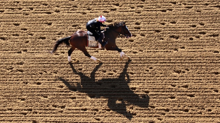 Preakness Preview Preakness Preview