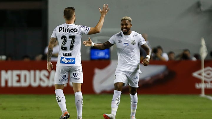 Santos v Botafogo - Brasileirao Series A 2019