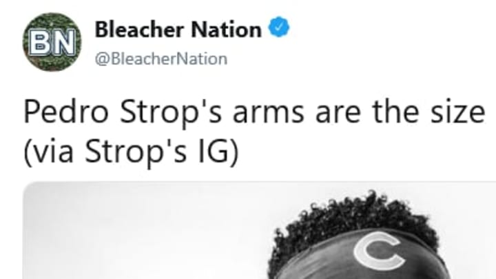 Cubs reliever Pedro Strop's forearms are absolutely massive. Cubs reliever Pedro Strop's forearms are absolutely massive.