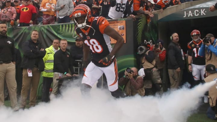 AJ Green takes the field during player introductions against the Tampa Bay Buccaneers.