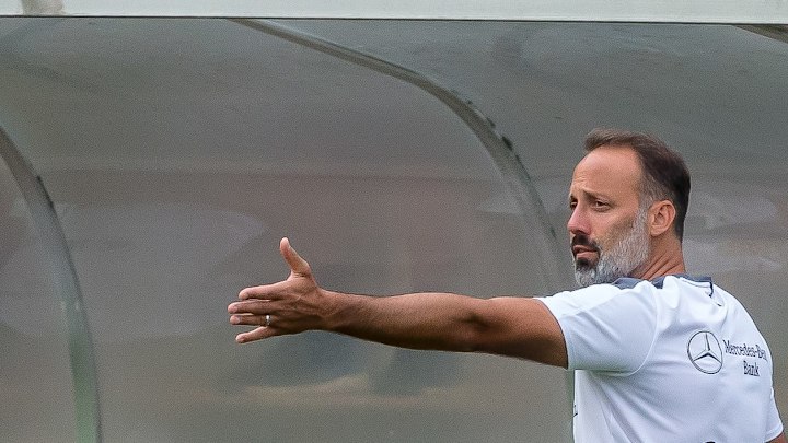 Pellegrino Matarazzo könnte schon bald neue Verstärkung bekommen Pellegrino Matarazzo könnte schon bald neue Verstärkung bekommen