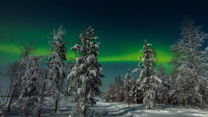 The Northern Lights.