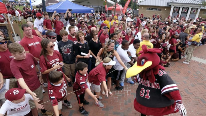 COLUMBIA, SC - SEPTEMBER 27: Cocky the mascot for the South Carolina Gamecocks greets fans as they wait for the team during the Gamecock Walk before their game against the Missouri Tigers on September 27, 2014 at Williams-Brice Stadium in Columbia, South Carolina. (Photo by Todd Bennett/GettyImages)
