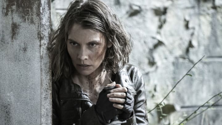 Walking dead sales saison 11 netflix