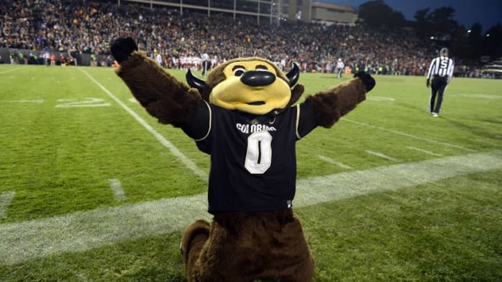 Nov 19, 2016; Boulder, CO, USA; Colorado Buffaloes mascot Chip reacts following a turnover fourth quarter against the Washington State Cougars at Folsom Field. The Buffaloes defeated the Cougars 38-24. Mandatory Credit: Ron Chenoy-USA TODAY Sports