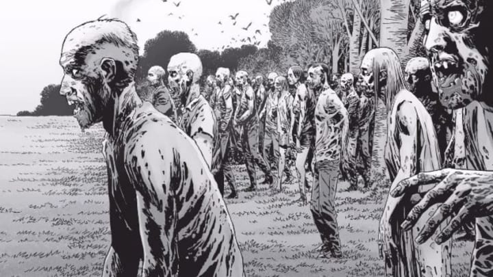 Walkers - The Walking Dead 159, Image Comics and Skybound Entertainment
