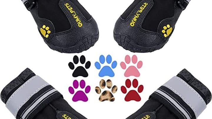 QUMY Dog Boots – Amazon.com