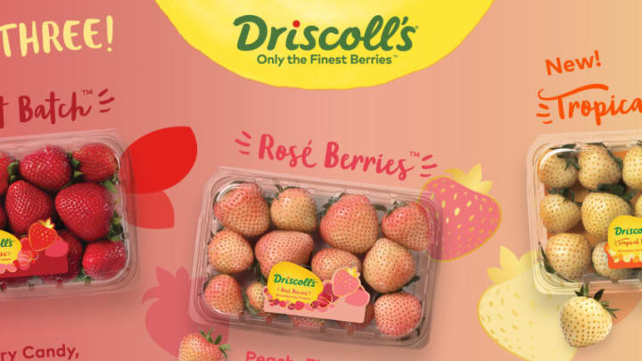 New Driscoll's Tropical Bliss Strawberries, photo provided by Driscolls