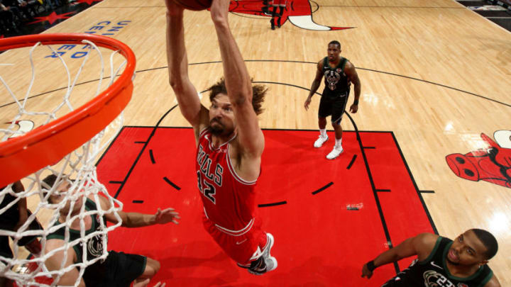 CHICAGO, IL - FEBRUARY 11: Robin Lopez #42 of the Chicago Bulls dunks the ball during the game against the Milwaukee Bucks on February 11, 2019 at the United Center in Chicago, Illinois. NOTE TO USER: User expressly acknowledges and agrees that, by downloading and or using this photograph, user is consenting to the terms and conditions of the Getty Images License Agreement. Mandatory Copyright Notice: Copyright 2019 NBAE (Photo by Gary Dineen/NBAE via Getty Images)