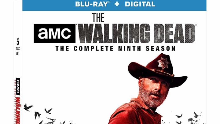 The Walking Dead: The Complete Ninth Season Blu-Ray cover - Skybound, AMC, and Lionsgate/Anchor Bay