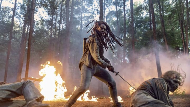 Danai Gurira as Michonne; group - The Walking Dead _ Season 10 - Photo Credit: Jackson Lee Davis/AMC