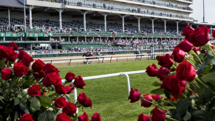 LOUISVILLE, KY - MAY 06: Roses are displayed on the infield of Churchill Downs during the first undercard race on Kentucky Derby Day on May 6, 2016 in Louisville, Kentucky. (Photo by Sue Kawczynski/Eclipse Sportswire/Getty Images)