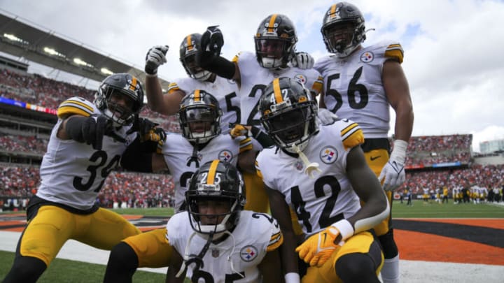 Pittsburgh Steelers (Mandatory Credit: Cara Owsley-USA TODAY Sports)