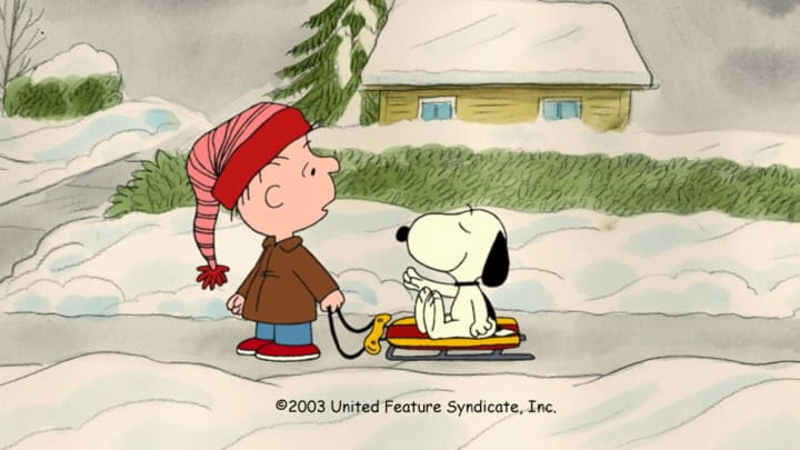 I WANT A DOG FOR CHRISTMAS, CHARLIE BROWN!  (© 2003 United Feature Syndicate Inc.)