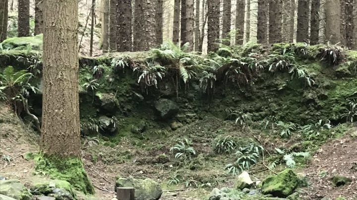 The back wall of the wildling pit.