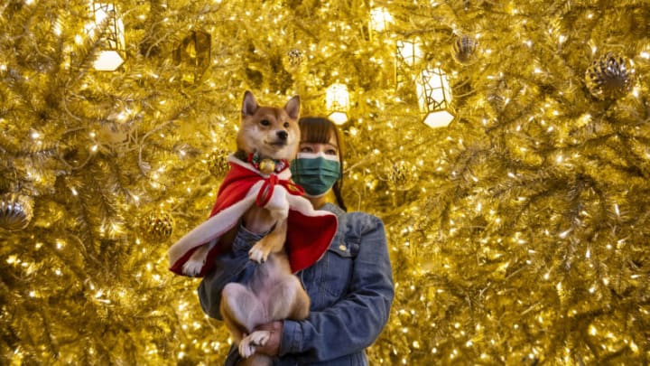 HONG KONG, CHINA - 2020/12/20: A woman wearing a face mask poses for a photo with her dog in front of a golden Christmas tree at a shopping mall in Hong Kong.Hong Kong is currently experiencing a four wave of COVID-19 cases while the government has implemented new social restrictions and rules in the city. (Photo by Miguel Candela/SOPA Images/LightRocket via Getty Images)
