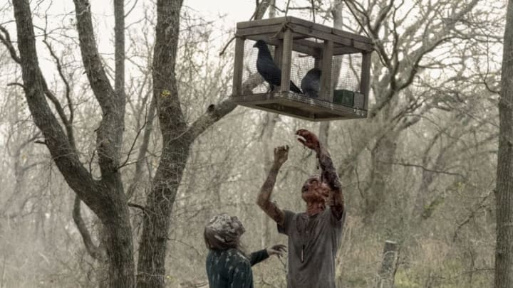 Fear the Walking Dead _ Season 5, Episode 2 - Photo Credit: Ryan Green/AMC