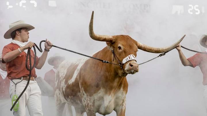 DFS CFB: AUSTIN, TX - SEPTEMBER 15: Texas Longhorns mascot Bevo XV enters the stadium before the game against the USC Trojans at Darrell K Royal-Texas Memorial Stadium on September 15, 2018 in Austin, Texas. (Photo by Tim Warner/Getty Images) DFS CFB: AUSTIN, TX - SEPTEMBER 15: Texas Longhorns mascot Bevo XV enters the stadium before the game against the USC Trojans at Darrell K Royal-Texas Memorial Stadium on September 15, 2018 in Austin, Texas. (Photo by Tim Warner/Getty Images)