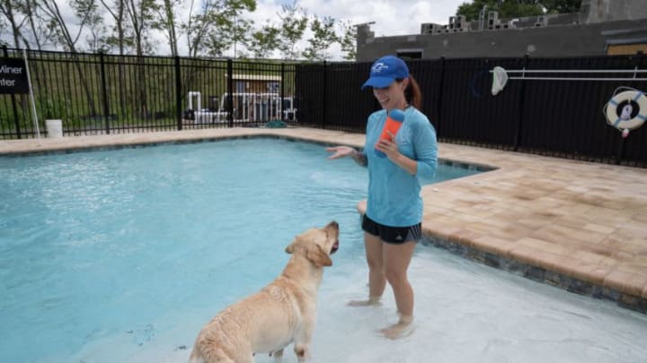 The Southeastern Guide Dogs Canine Fitness Program is designed to enhance the health and skills of guide dogs. Photos provided by Southeastern Guide Dogs