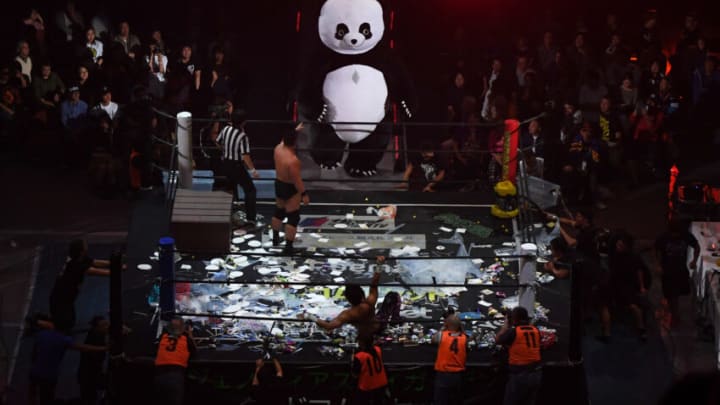 TOKYO, JAPAN - OCTOBER 21: Andreza Giant Panda is seen after the bout against Super Sasadango Machine at the DDT Pro-Wrestling at Ryogoku Kokugikan on October 21, 2018 in Tokyo, Japan. (Photo by Masashi Hara/Getty Images)