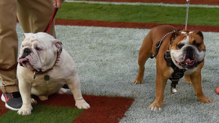 The bulldog mascotsDale Zanine-USA TODAY Sports