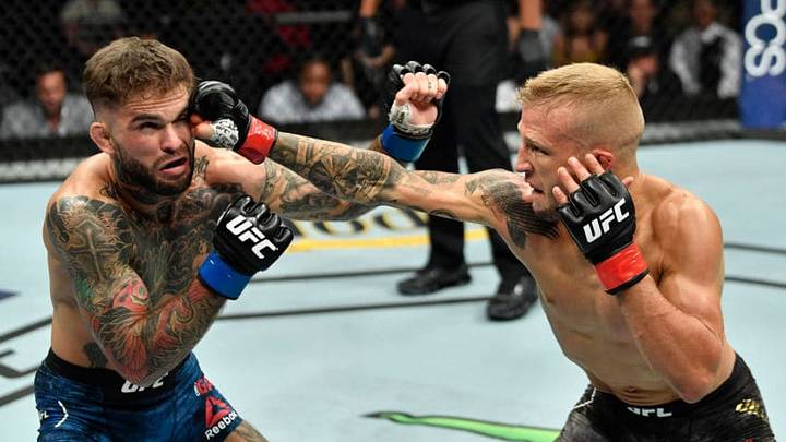 LOS ANGELES, CA - AUGUST 04: (R-L) TJ Dillashaw punches Cody Garbrandt in their UFC bantamweight championship fight during the UFC 227 event inside Staples Center on August 4, 2018 in Los Angeles, California. (Photo by Jeff Bottari/Zuffa LLC/Zuffa LLC via Getty Images)