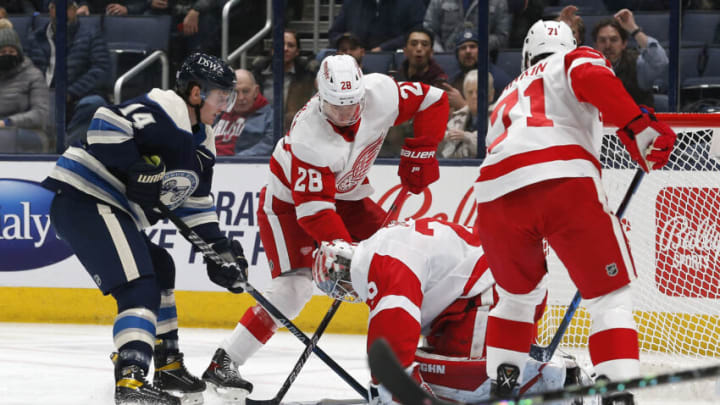 Nov 15, 2021; Columbus, Ohio, USA; Detroit Red Wings goalie Thomas Greiss (29) makes a save from the rebound shot of Columbus Blue Jackets center Gustav Nyquist (14) during the first period at Nationwide Arena. Mandatory Credit: Russell LaBounty-USA TODAY Sports