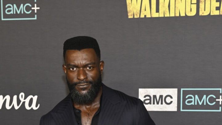 LOS ANGELES, CALIFORNIA - NOVEMBER 20: Michael James Shaw arrives at The Walking Dead Live: The Finale Event at The Orpheum Theatre on November 20, 2022 in Los Angeles, California. (Photo by Timothy Norris, Stringer, Credit: Getty Images (Photo by Timothy Norris/Getty Images)