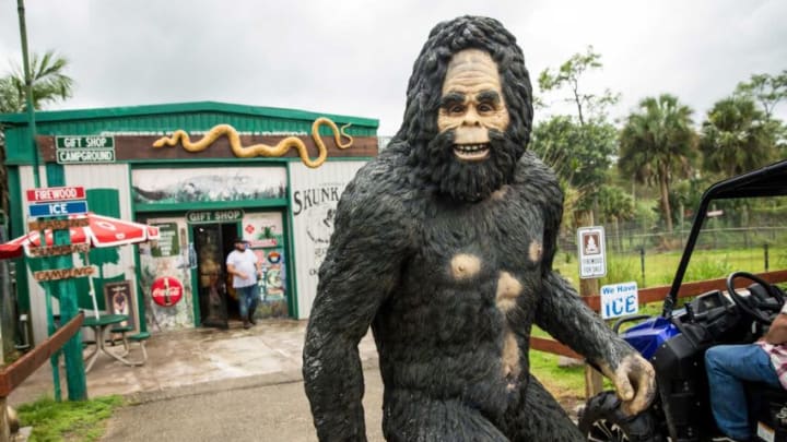 Jack Shealy, left, is a fifth generation Gladesman from a well known family that lives in the Everglades. The family owns Skunk Ape Headquarters and campground in Ochopee.Skunkape