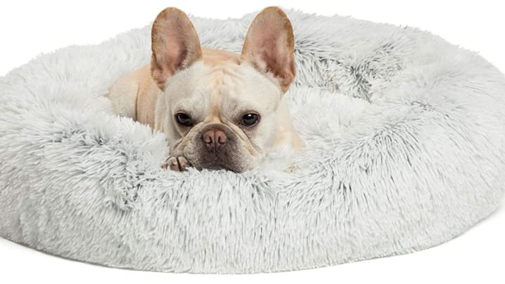 Discover Sentiments Inc.'s dog bed on Amazon.