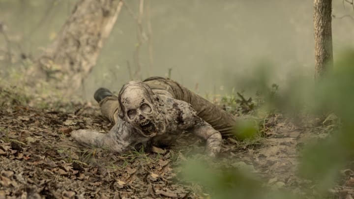 The Walking Dead _ Season 10, Episode 14 - Photo Credit: Jackson Lee Davis/AMC