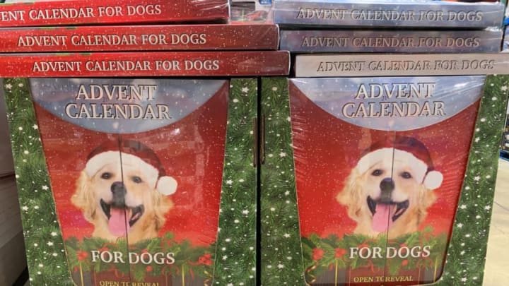 Advent Calendar for Dogs, as seen at Costco. Photo: Kimberley Spinney