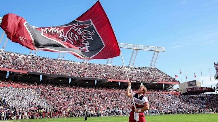 Nov 21, 2015; Columbia, SC, USA; South Carolina Gamecocks cheerleader waves the flag during the game between the Bulldogs and the Gamecocks at Williams-Brice Stadium. Citadel upsets South Carolina 23-22. Mandatory Credit: Jim Dedmon-USA TODAY Sports