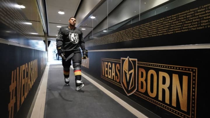LAS VEGAS, NEVADA - NOVEMBER 13: Ryan Reaves #75 of the Vegas Golden Knights returns to the locker room after warm-ups prior to a game against the Chicago Blackhawks at T-Mobile Arena on November 13, 2019 in Las Vegas, Nevada. (Photo by Jeff Bottari/NHLI via Getty Images)