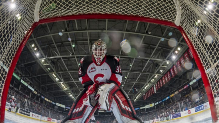 Could Taylor Gauthier #35 of the Prince George Cougars be a future of the Toronto Maple Leafs goalie? (Photo by Marissa Baecker/Getty Images)