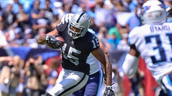 NASHVILLE, TN - SEPTEMBER 10: Michael Crabtree (Photo by Frederick Breedon/Getty Images)