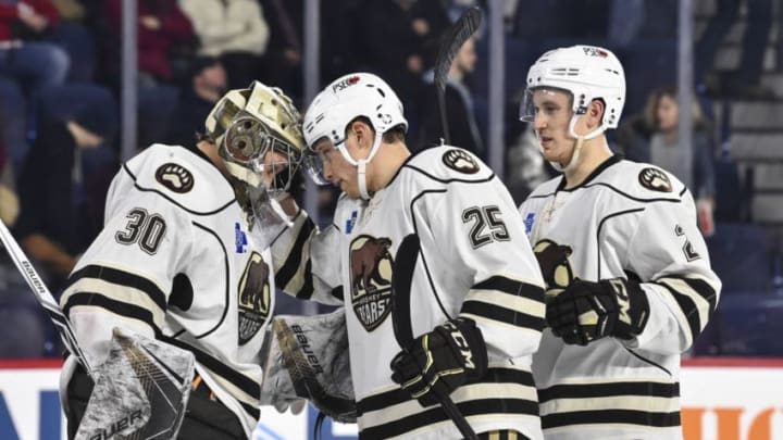 Hershey Bears, Washington Capitals (Photo by Minas Panagiotakis/Getty Images)