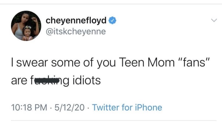 Cheyenne Floyd comes for the 'Teen Mom' fanbase after she's accused of seeking attention.
